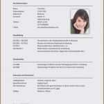 Lebenslauf Studium Vorlage Gut 7 Lebenslauf Für Studium Muster