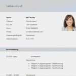 Lebenslauf Tabellarisch Vorlage Download Erstaunlich Lebenslauf Vorlage Zum Download