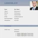 Lebenslauf Tabellarisch Vorlage Download Schön Lebenslauf Vorlage Automobilkaufmann Bzw Automobilkauffrau
