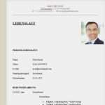 Lebenslauf Tabellarisch Word Vorlage Großartig Lebenslauf Einfach Lebenslauf Beispiel