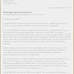 Lebenslauf Und Anschreiben Vorlage Beste 5 Lebenslauf Auf Spanisch Vorlagen123 Vorlagen123