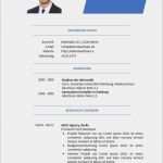 Lebenslauf Und Anschreiben Vorlage Genial 10 Besten Lebenslauf Muster Und Vorlagen Bilder Auf