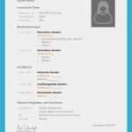 Lebenslauf Und Bewerbung Vorlage Genial Lebenslauf Vorlage Praktikum Kostenloser Download