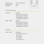 Lebenslauf Und Bewerbung Vorlage Gut Muster 20 Bewerbung