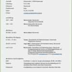 Lebenslauf Uni Vorlage Neu 20 Tabellarischer Lebenslauf 2015