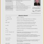 Lebenslauf Uni Vorlage Wunderbar Lebenswert Muster Lebenslauf Universität Tabellarischer