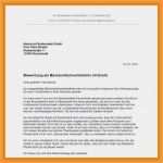 Lebenslauf Verkauf Vorlage Cool 5 6 Bewerbung Vollzeit Muster