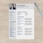 Lebenslauf Verkauf Vorlage Cool Lebenslaufvorlage the Consultant 2