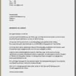 Lebenslauf Verkauf Vorlage Schönste 18 Bewerbung Muster Ferienjob