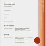 Lebenslauf Vorlage 2018 Kostenlos Erstaunlich Lebenslauf Muster 2018 Gratis Vorlage Beispiel