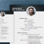 Lebenslauf Vorlage 2018 Kostenlos Schönste Lebenslauf Muster 2018 Meinebewerbung