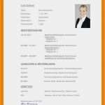 Lebenslauf Vorlage 2018 Open Office Best Of 9 Lebenslauf Muster Kostenlos 2012