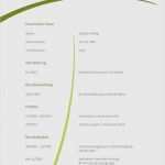 Lebenslauf Vorlage 2018 Open Office Inspiration 15 Lebenslauf Ohne Foto