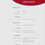 Lebenslauf Vorlage 2018 Open Office Neu 20 Lebenslauf Vorlage Openoffice