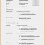 Lebenslauf Vorlage 2018 Open Office Wunderbar 20 Openoffice Vorlage Lebenslauf