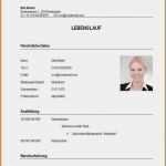 Lebenslauf Vorlage 2018 Schüler Beste 15 Lebenslauf Vorlage Für Schüler