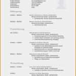 Lebenslauf Vorlage 2018 Schüler Beste Lebenslauf Muster Schüler 2016 Das Beste Von S Spain