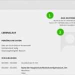 Lebenslauf Vorlage 2018 Schüler Cool Lebenslauf Muster Schüler 2016 Das Beste Von S Spain