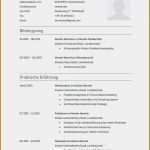 Lebenslauf Vorlage 2018 Schüler Einzigartig Bewerbung Für Schülerpraktikum 77 Lebenslauf Muster