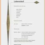 Lebenslauf Vorlage 2018 Schüler Erstaunlich 11 Lebenslauf Schüler Muster