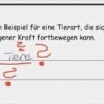 Lebenslauf Vorlage 2018 Schüler Schön Lebenslauf Muster Schüler 2016 Das Beste Von S Spain