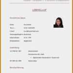 Lebenslauf Vorlage 2018 Schüler Schönste Lebenslauf Vorlage Praktikum Schüler Gute 9 Lebenslauf