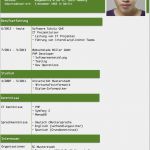 Lebenslauf Vorlage Beispiel Großartig Lebenslauf Muster 1 Gruen Kostenfrei En
