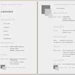 Lebenslauf Vorlage Beispiel Luxus Gratis Lebenslauf Muster Vorlage Beispiele Kostenlos