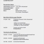 Lebenslauf Vorlage Bewerbung Ausbildung Wunderbar Bewerbung Ausbaufacharbeiter Ausbildung sofort Download