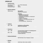 Lebenslauf Vorlage Bürokauffrau Luxus Ein Ratgeber Für Ihre Karriereplanung