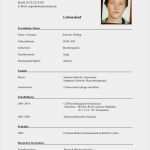 Lebenslauf Vorlage Deutsch Erstaunlich Cv Resume Resume Cv Deutsch
