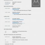 Lebenslauf Vorlage Deutsch Erstaunlich Lebenslauf Vorlage Professionell Kostenloser Download