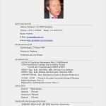 Lebenslauf Vorlage Deutschland Luxus Cv Interim Deutsch