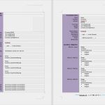 Lebenslauf Vorlage Deutschland Schön Pin Vorlage Lebenslauf Deutsch On Pinterest