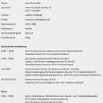 Lebenslauf Vorlage Doc Einzigartig Lebenslauf Doc Lebenslauf Beispiel