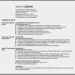 Lebenslauf Vorlage Doc Fabelhaft Lebenslauf Vorlage Doc Hübsch Gallery Bewerbung