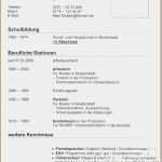 Lebenslauf Vorlage Doc Gut 19 Lebenslauf Doc Vorlagen123 Vorlagen123