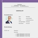 Lebenslauf Vorlage Doc Hübsch Lebenslauf Vorlage Zum Download