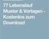 Lebenslauf Vorlage Download Kostenlos Cool 25 Best Ideas About Lebenslauf Muster On Pinterest