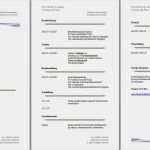 Lebenslauf Vorlage Download Kostenlos Genial Lebenslauf Vorlage Muster Beispiel En Kostenlos