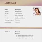 Lebenslauf Vorlage Download Kostenlos Neu Moderner Lebenslauf Vorlage Kostenlos Lebenslauf Beispiel