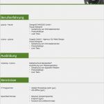 Lebenslauf Vorlage Download Kostenlos Pdf Cool Lebenslauf Muster 3 Gruen Kostenlos En