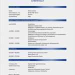Lebenslauf Vorlage Download Kostenlos Pdf Erstaunlich Lebenslauf Pdf Download