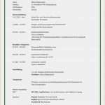 Lebenslauf Vorlage Download Kostenlos Pdf Großartig 21 Lebenslauf Muster Kostenlos