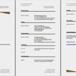 Lebenslauf Vorlage Download Kostenlos Pdf Inspiration Lebenslauf Muster Kostenlos Muster Beispiel Gratis