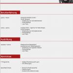 Lebenslauf Vorlage Download Kostenlos Schön Lebenslauf Muster 3 Rot Kostenlos En
