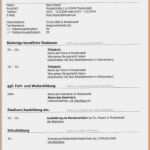 Lebenslauf Vorlage Download Ohne Anmeldung Hübsch 15 Undergraduate Lebenslauf Vorlagen Kostenlos Ohne