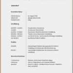 Lebenslauf Vorlage Duales Studium Bewundernswert 13 Perfekt Muster Lebenslauf Duales Studium format Zum