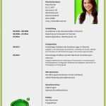 Lebenslauf Vorlage Duales Studium Cool Begrenzt Beispiel Lebenslauf Duales Studium Tabellarischer