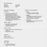 Lebenslauf Vorlage Duales Studium Erstaunlich Tabellarischer Lebenslauf Studium Vorlage Duales